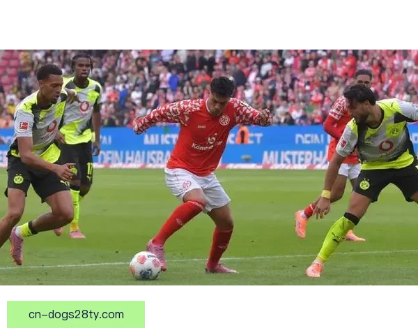 汉堡球星怒斥美因茨踢人足球行